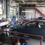 Photo of Amador Brothers Wheel Alignment