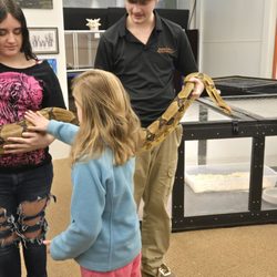 Bobby G Pets - Big (and very friendly) snake!