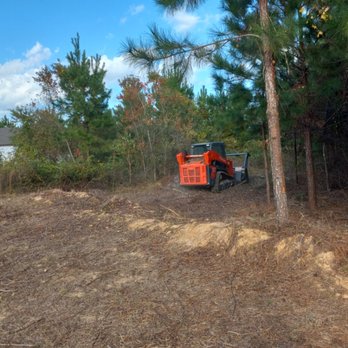 Davila Tree and Landscaping Services - Before - Tree Services Near Me Davila Tree and Landscaping Services - Before - Tree Services Near Me