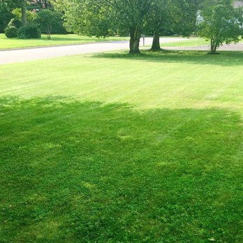 Green Energy Lawn - a green lawn with grass and trees - Lawn Services Near Me Green Energy Lawn - a green lawn with grass and trees - Lawn Services Near Me