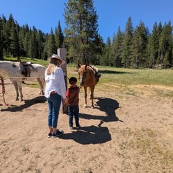 Alpine Meadows Stables - If you are early they let you say hi to the horses before your ride.
