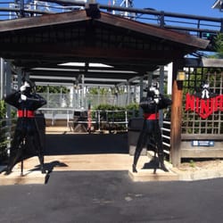 The Ninja - Ninja entry!