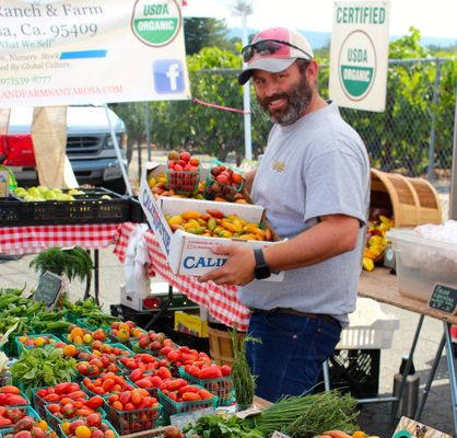 St. Helena Farmers' Market by null