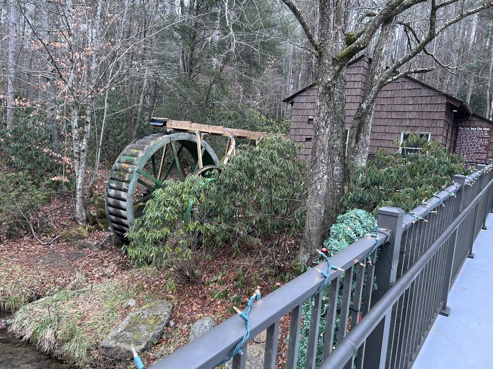 Roan Mountain State Park Logo