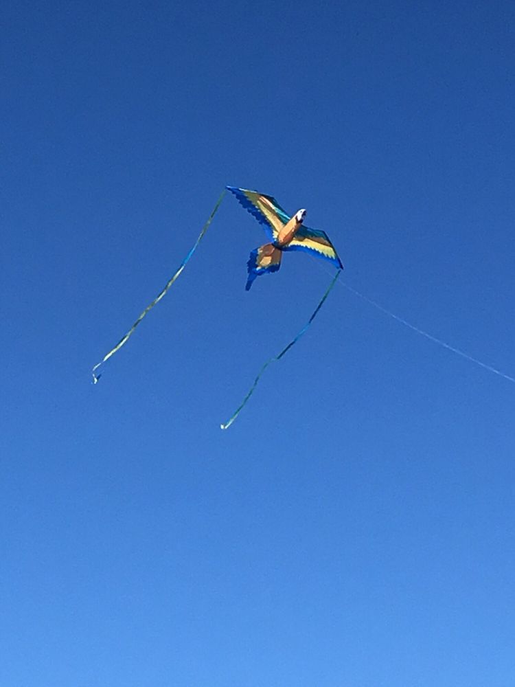 STATUE ESQUE Updated September 2024 840 S Hwy 89, Chino Valley