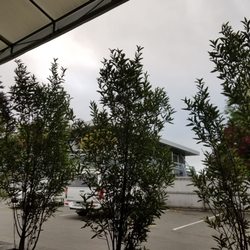 Volstead Trading Company - View while eating