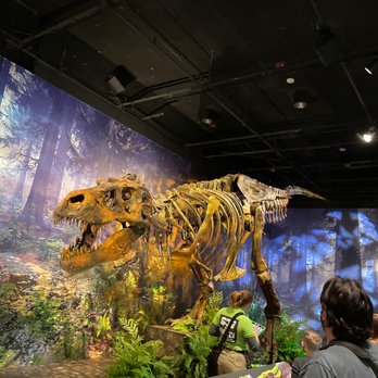 The Children's Museum - Children's Museums Near Me - Indianapolis, Indiana The Children's Museum - Children's Museums Near Me - Indianapolis, Indiana