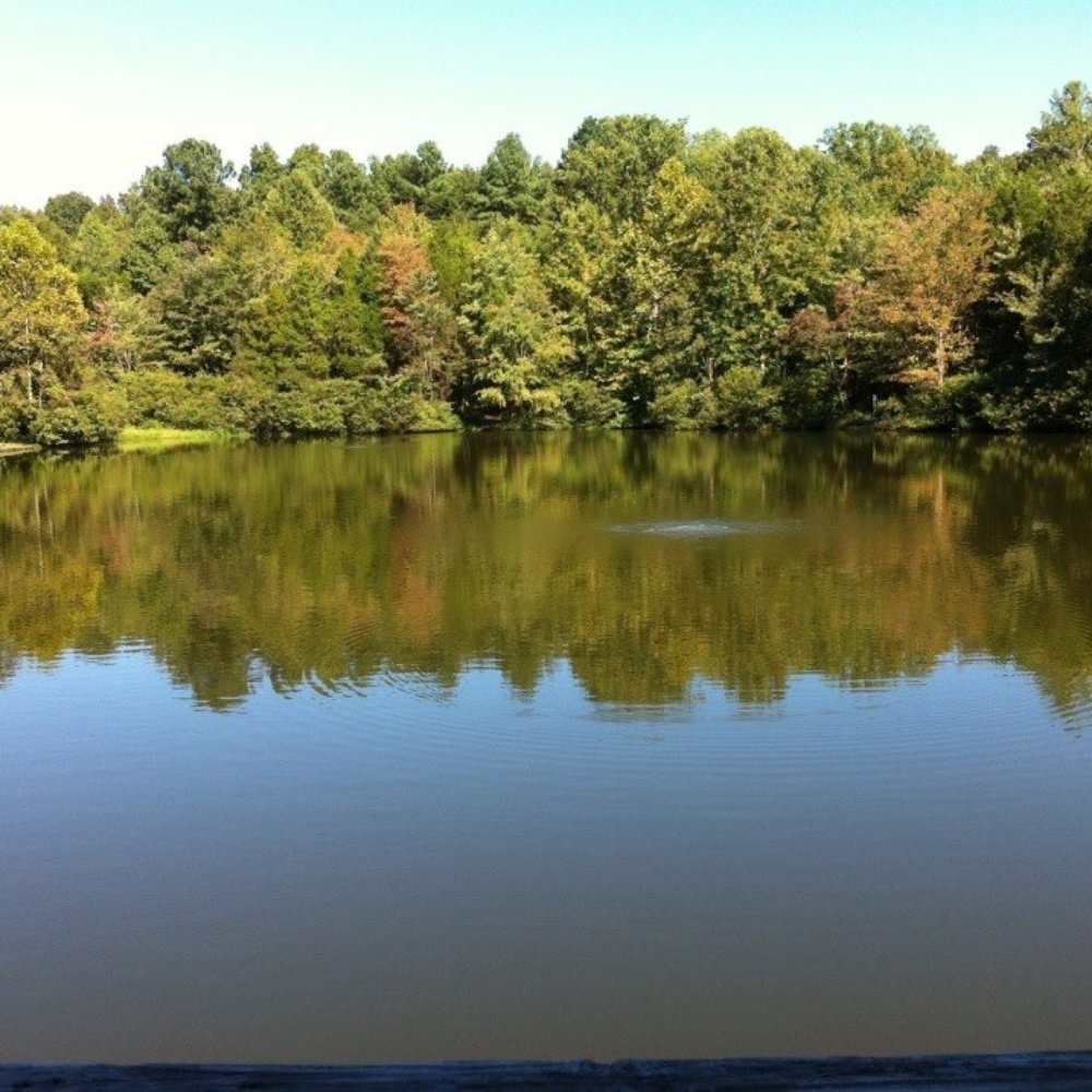 Lake Anna State Park - Parks Near Me - Spotsylvania, Virginia