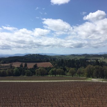 Willamette Valley Vineyards - View from tasting room - Wineries Near Me - Turner, Oregon Willamette Valley Vineyards - View from tasting room - Wineries Near Me - Turner, Oregon