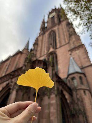 Frankfurt Cathedral by null