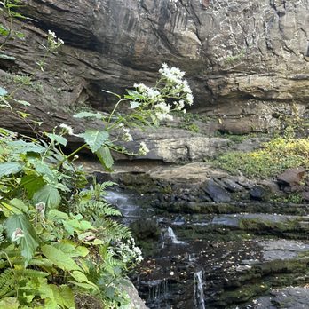 Cloudland Canyon State Park - Hemlock falls - Parks Near Me - Rising Fawn, Georgia