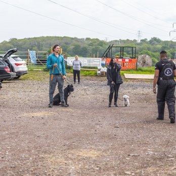 MidlandsGrizzlys - Obedience training in birmingham - Pet Training Near Me - Birmingham, XWM