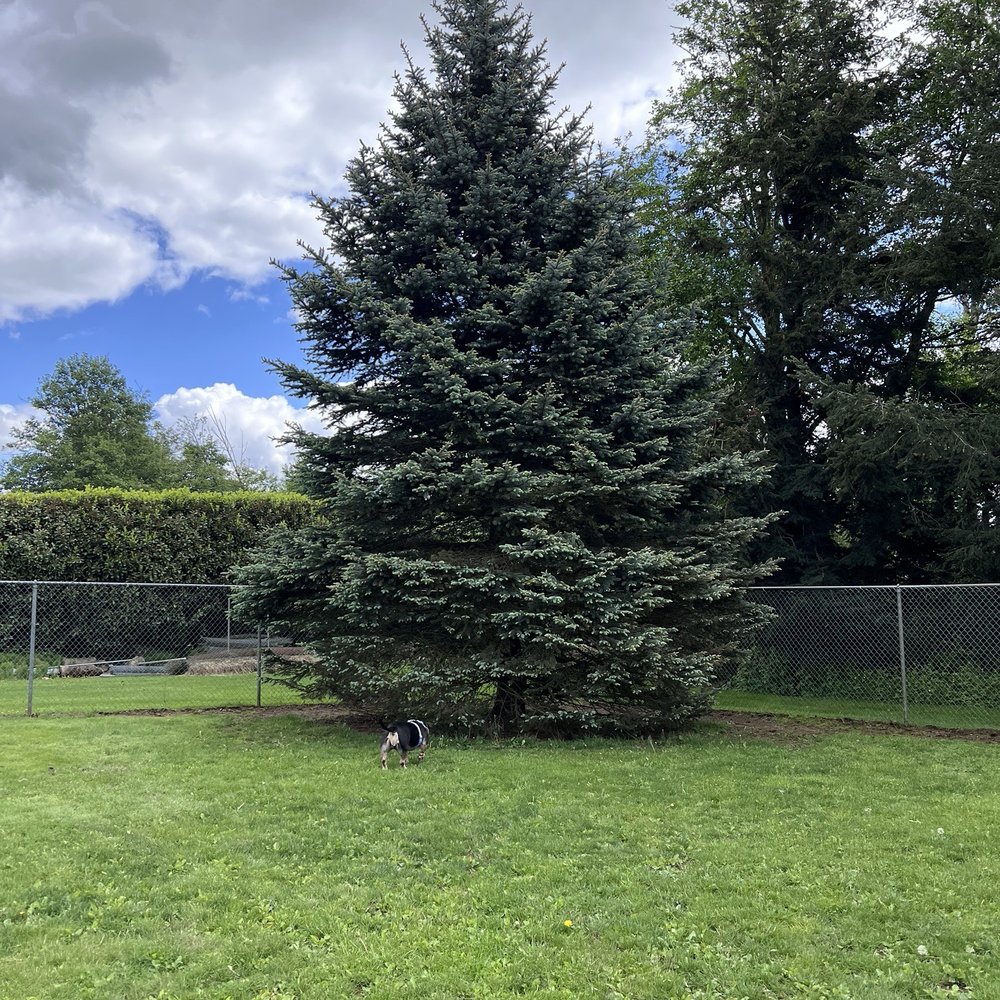 Bender Fields - Off leash Dog Park - Dog Parks Near Me