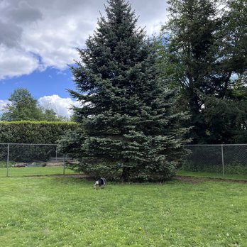 Bender Fields - Off leash Dog Park - Dog Parks Near Me