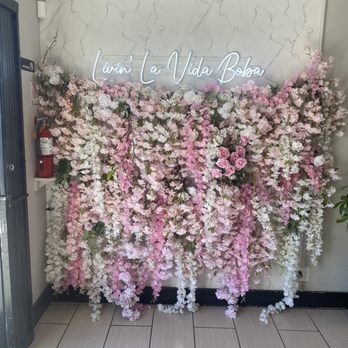 Sweet Boba Co. - Backdrop for that cute social media post. (Sept 2026) - Bubble Tea Near Me - Fullerton, California Sweet Boba Co. - Backdrop for that cute social media post. (Sept 2026) - Bubble Tea Near Me - Fullerton, California