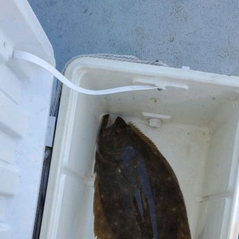 Sea Tiger II - In the cooler 22 inches - Boat Charters Near Me - Atlantic Highlands, New Jersey Sea Tiger II - In the cooler 22 inches - Boat Charters Near Me - Atlantic Highlands, New Jersey