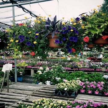 Meadows Farms Nurseries Warrenton 31 Photos 14 Reviews Nurseries Gardening 5074 Lee Hwy Warrenton Va Phone Number Yelp
