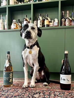 Prizefighter Bottle Shop by null