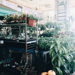 Ricky's Flower Market