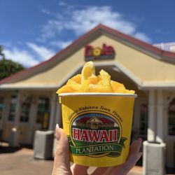 Dole Plantation - Dole whip with pineapples