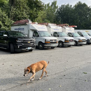 Maverick Electric - Teddy! - Electricians Near Me - Hampstead, New Hampshire