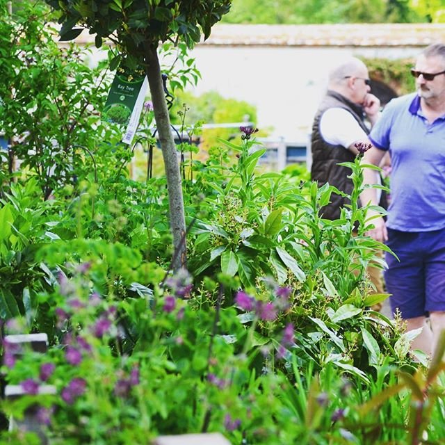 CRANBORNE GARDEN CENTRE Updated September 2024 1 Wimborne Road