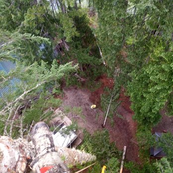 Highclimber Northwest - Tree Services Near Me