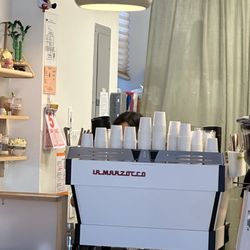 Forest Cafe - Barista area