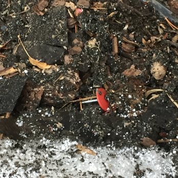 DaBella - In June, they sent someone to use a magnet to find nails. He said he found over 2,000! That's after two previous "cleanings"! - Roofing Near Me - Denver, Colorado DaBella - In June, they sent someone to use a magnet to find nails. He said he found over 2,000! That's after two previous "cleanings"! - Roofing Near Me - Denver, Colorado
