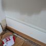 Independent Termite Treatment Company