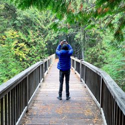Trail of the Cedars & Avalanche Lake