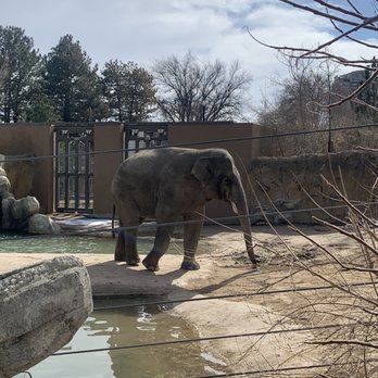 Denver Zoo - Zoos Near Me - Denver, Colorado