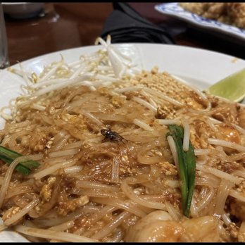 Spicy Thai Kitchen - Pad Thai or should I say pad fly - Seafood Near Me - Marysville, Michigan Spicy Thai Kitchen - Pad Thai or should I say pad fly - Seafood Near Me - Marysville, Michigan
