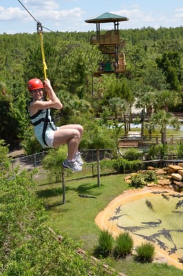 Gatorland by null