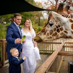 La Difference - Feeding giraffes at Elmwood Park Zoo in custom wedding dress