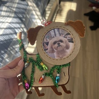 Bow Wow Beautiful Pet Spa - They made this! - Pet Groomers Near Me - San Clemente, California