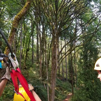 Bellevue Zip Tour - Hook that saves you. - Ziplining Near Me - Bellevue, Washington