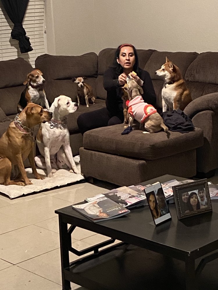 GABI’S DOGGIE DAYCARE Updated June 2024 17 Photos 2122 Baltic