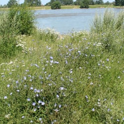 Fährerweg