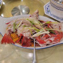 Live Thorny Head Fish Live Thorny Head Fish