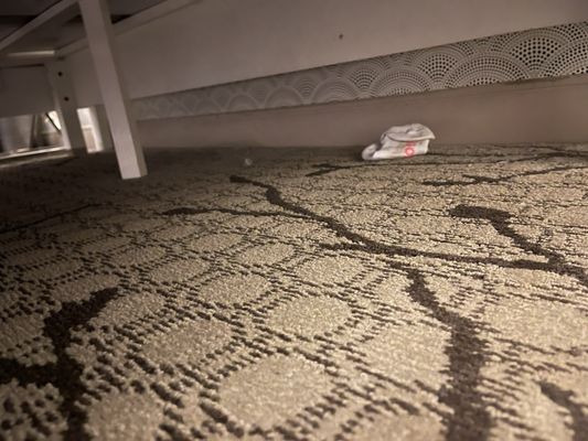 The Carlyle Inn by null