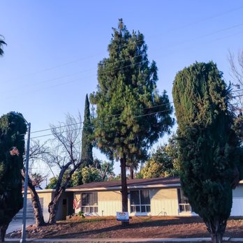 Steve McKenzie's Painting - Painters Near Me - Mentone, California Steve McKenzie's Painting - Painters Near Me - Mentone, California