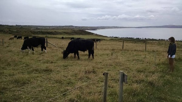 Godrevy Lighthouse by null