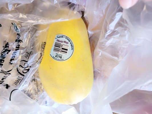 Superstition Ranch Farmers Market by null