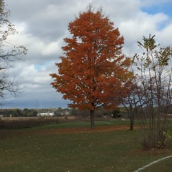 Forest Preserve District of Cook County