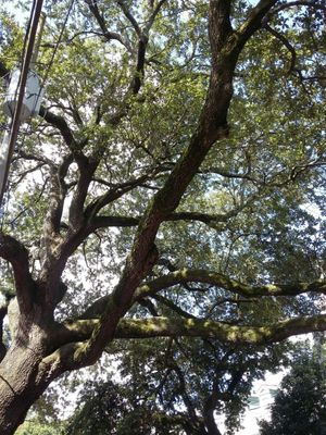 Fairchild House B & B by null