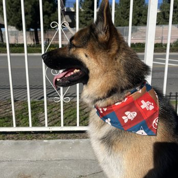 Happy Spa Dogs Mobile Grooming - Pet Groomers Near Me