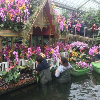 Kew Gardens - Orchid Festival - Botanical Gardens Near Me