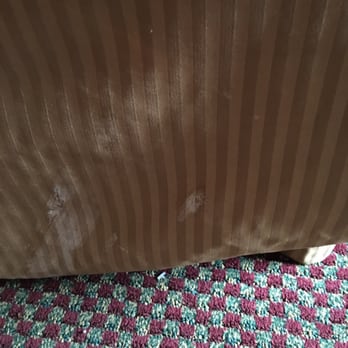 American Inn & Suites - Weird, nasty stains on the lower mattress cover - Hotels Near Me - Dewitt, Michigan