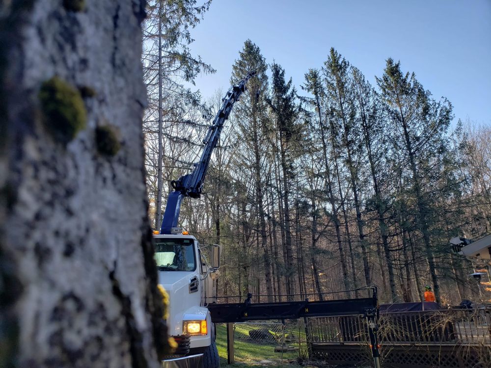 Jordan Tree Service - tree service in Canaan, NY
